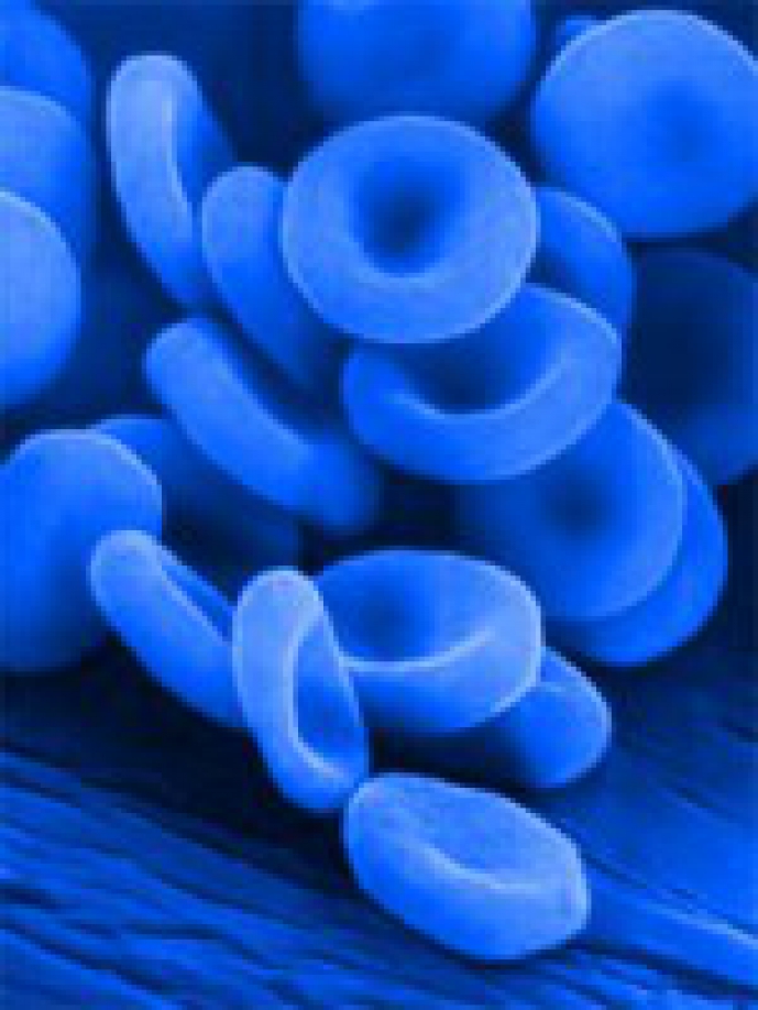 blue blood blue blood