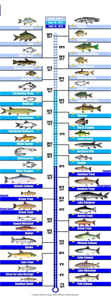 The water temp chart , and what temp do they live in? - Oregon Fishing
