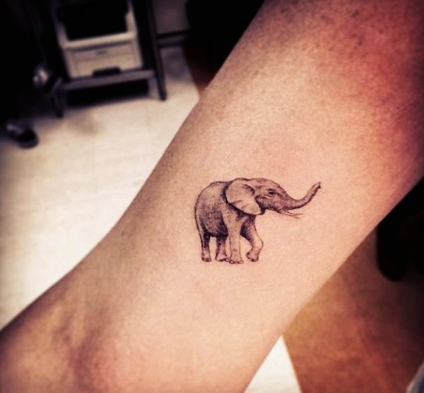 tatuagens de elefante para as meninas tatuagens de elefante para as meninas