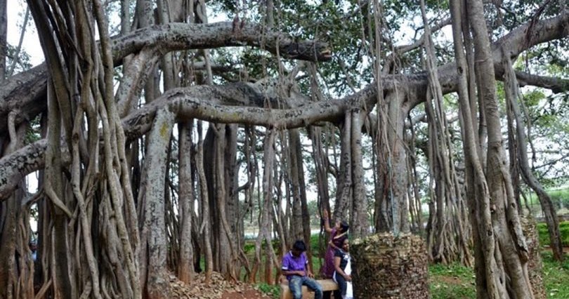 forest hindu dating site A free dating site in india, our free online dating site is 100% free unlike other dating websites our free indian dating website is to meet singl. forest hindu dating site A free dating site in india, our free online dating site is 100% free unlike other dating websites our free indian dating website is to meet singl.
