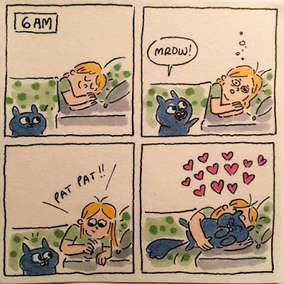 Humor, cosas que hacen los gatos