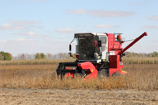 soybean-plot-harvest-lamberton