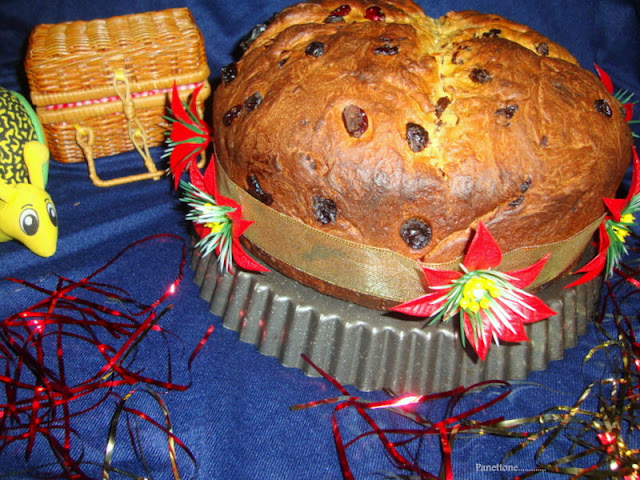Panettone Recipe /  Italian Christmas Bread Recipe / Christmas Panettone Bread Recipe