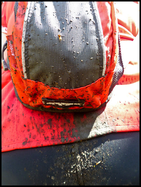 After the first rain storm, the trail got a bit .... shall we say ... muddy. After the first rain storm, the trail got a bit .... shall we say ... muddy.