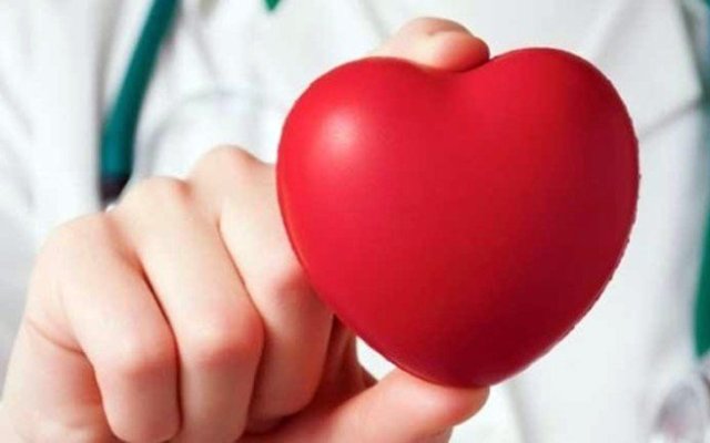 Ποιες τροφές εξασφαλίζουν ένα υγιές καρδιαγγειακό σύστημα Ποιες τροφές εξασφαλίζουν ένα υγιές καρδιαγγειακό σύστημα