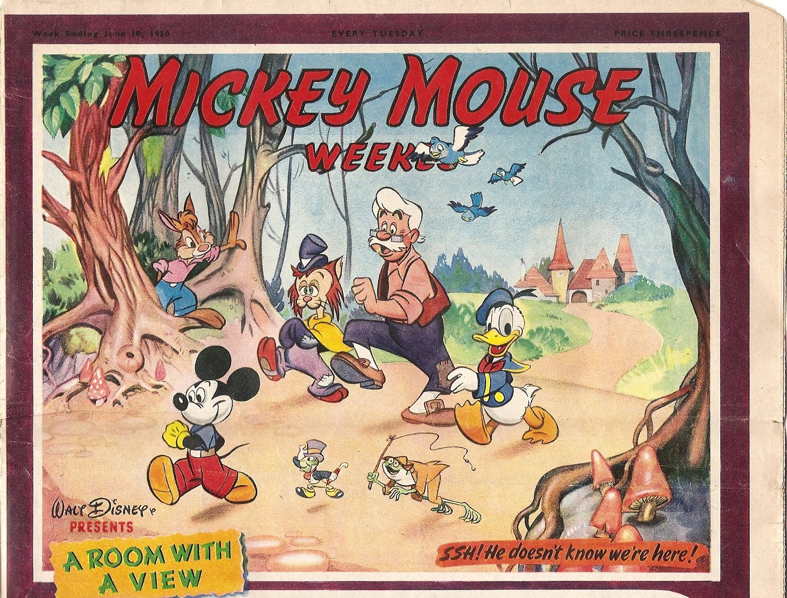 Pc speed maximizer. Progressive jpeg. Above scan. Scan ksp. Type scan data.