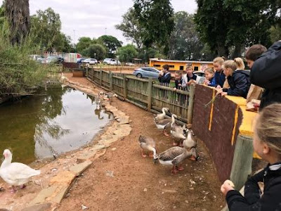 Voortrekkers at the Pretoria Zoo