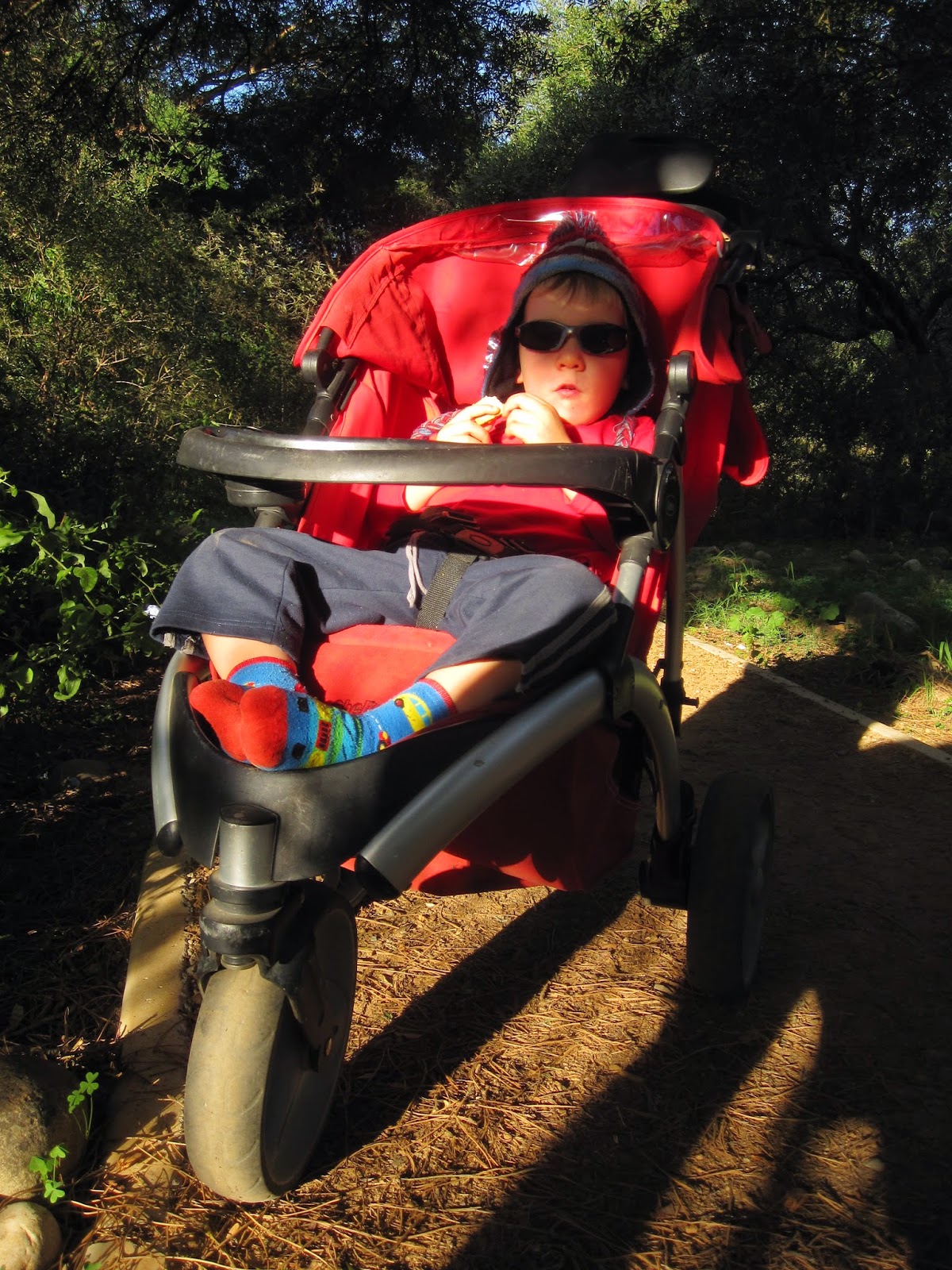 Stellenbosch Proefplaas Pram Run