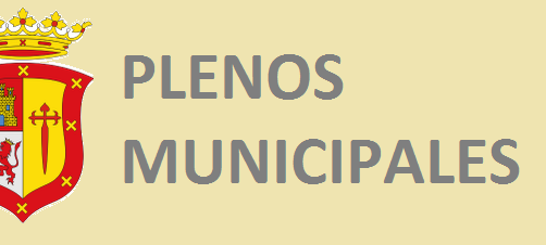 ACCESO DIRECTO A PLENOS MUNICIPALES