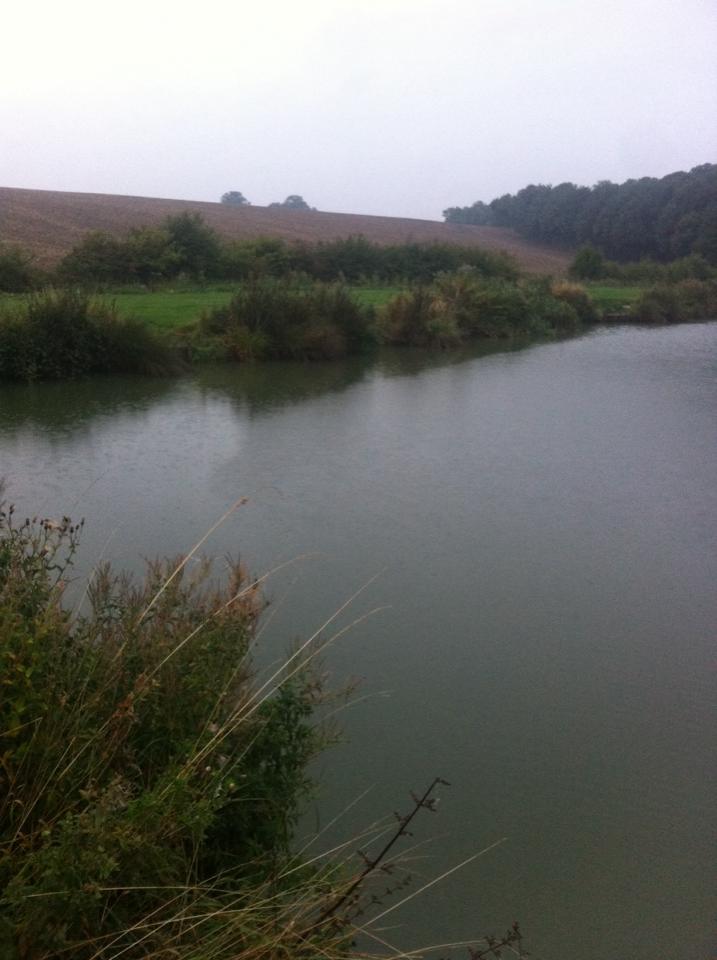 UK fishing venues Mushroom Ponds (Far Pond) Venue Review