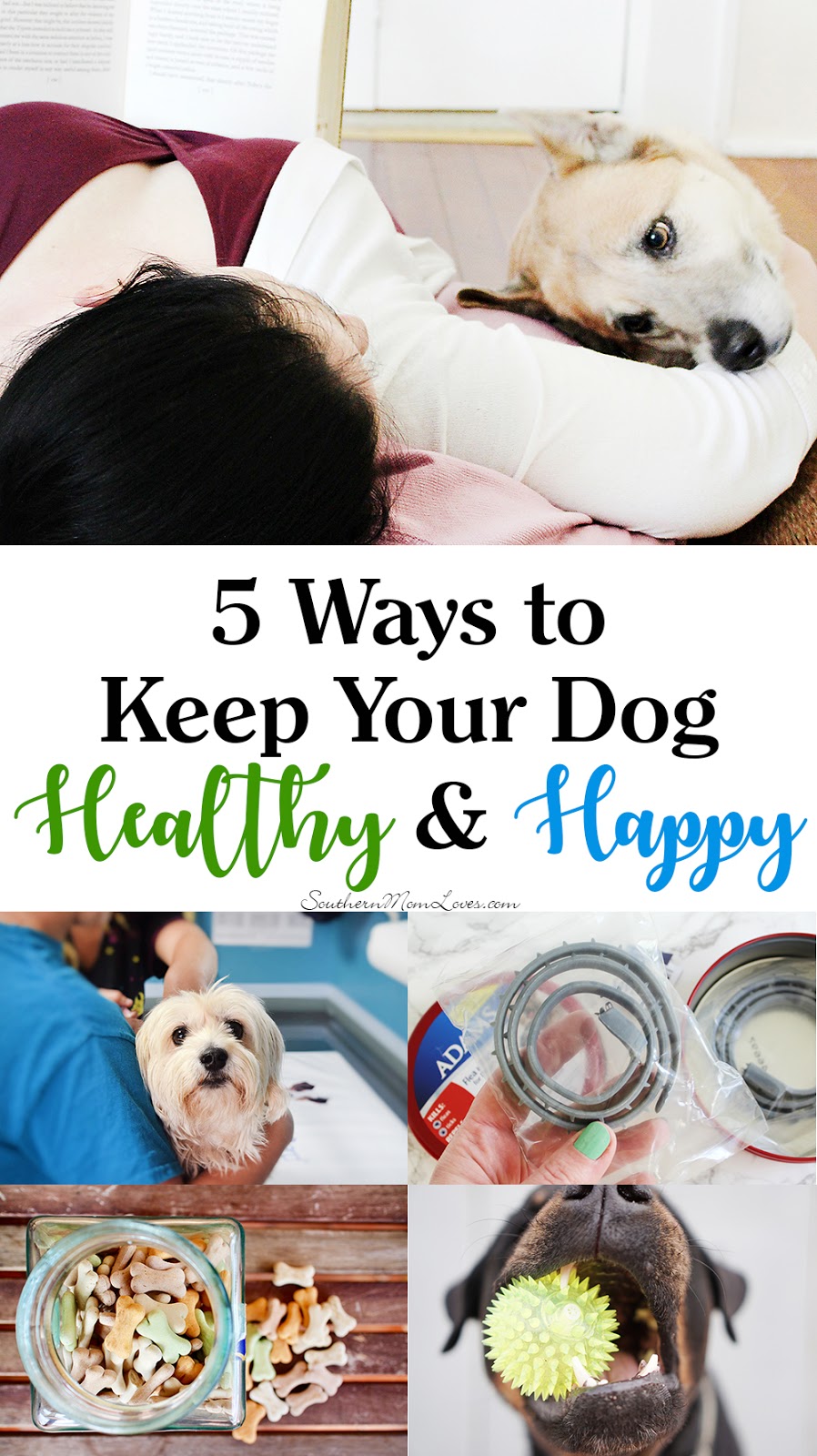 Southern Mom Loves 5 Ways to Keep Your Dog Healthy and Happy!