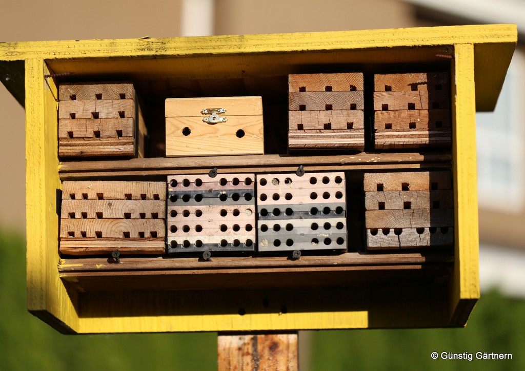 Günstig gärtnern Quadratisch und praktisch