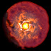Veiled Supernovae Provide Clue to Stellar Evolution