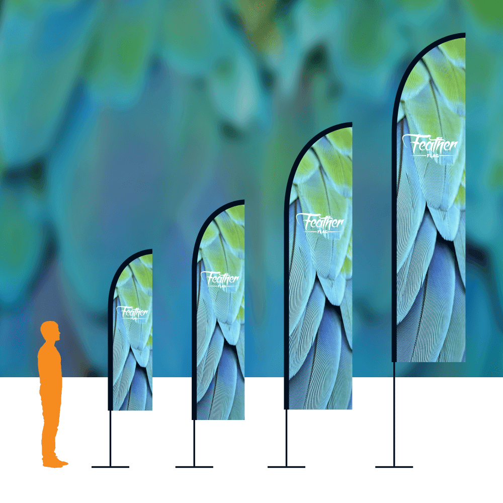What Sports Banner And Feather Flags Can Contribute For