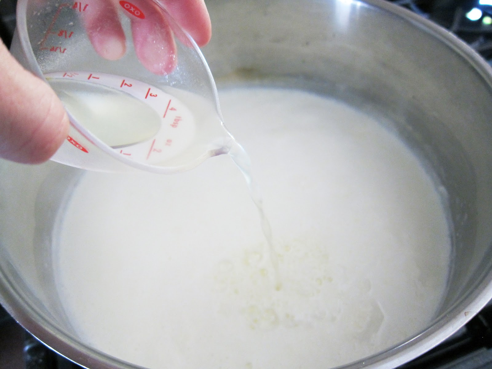 Bloatal Recall Paneer (Homemade Indian Cheese)