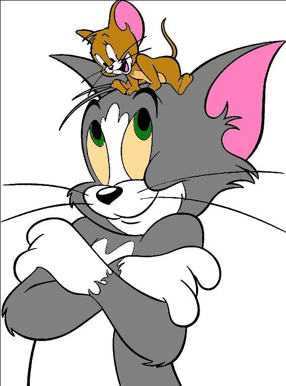 Tom Gato Jerry Mouse Tom Y Jerry Dibujo De Dibujos Animados Tom Y Images