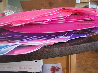 Pink and purple fairy wings