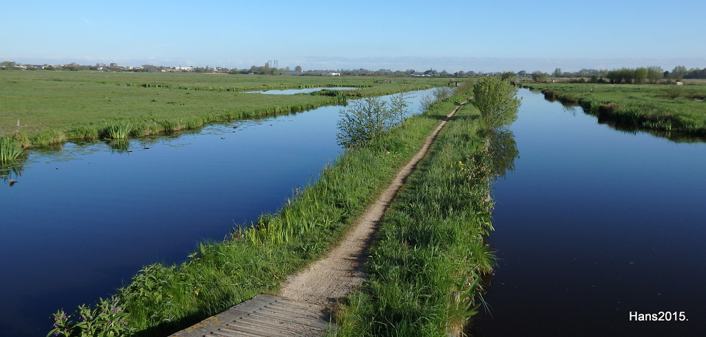Natuur en Landschap..: Winterdijk en de Reeuwijkse plassen..