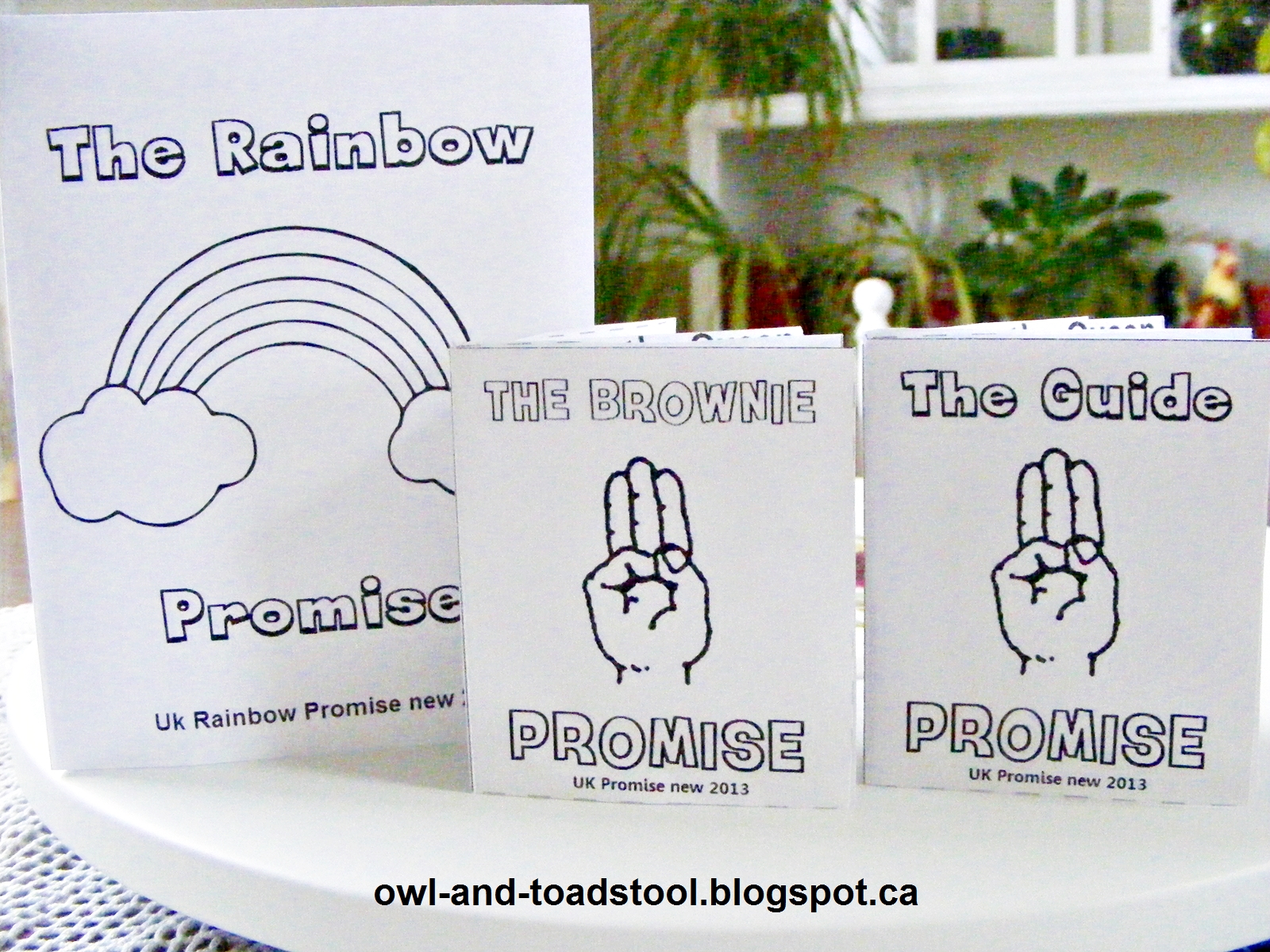 owl-toadstool-girlguiding-uk-new-promise-mini-books