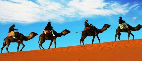 Maroc le pays qui voyage en vous 
