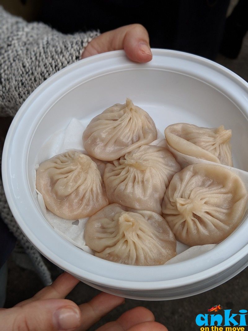 5 Cheap Chinatown Food of New York | Anki On The Move