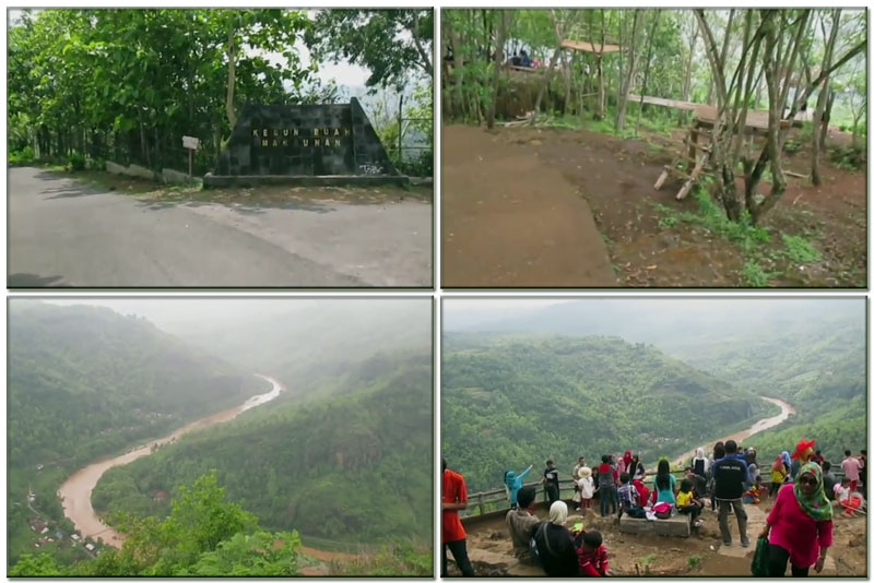 Kebun Buah Mangunan Kebun Buah Mangunan