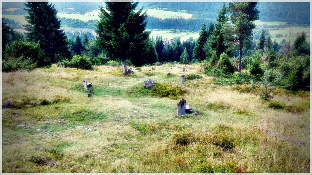 HikingLife-43224189162