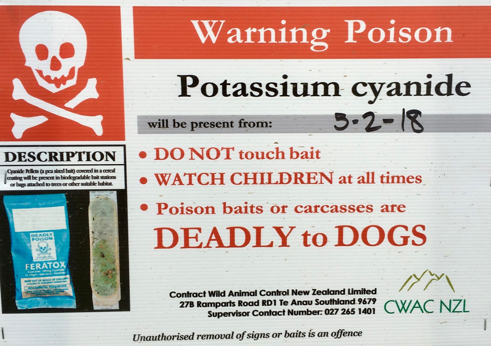 New Zealand poisonous experiences close to the ground