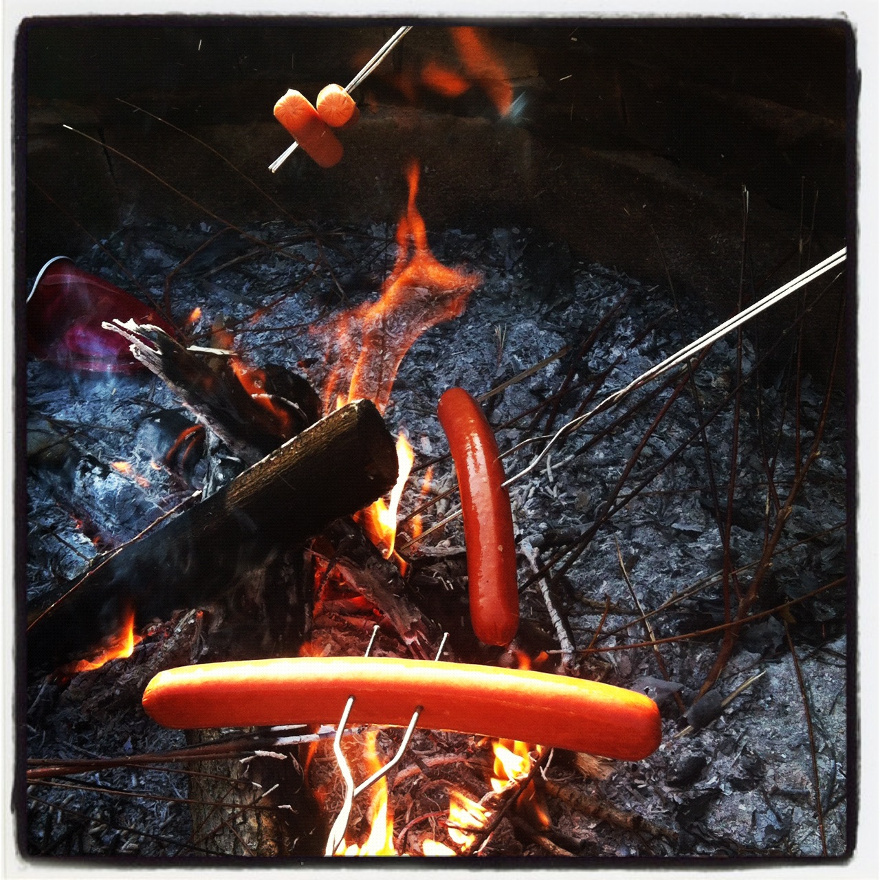 Where My Wild Things Are a weenie roast