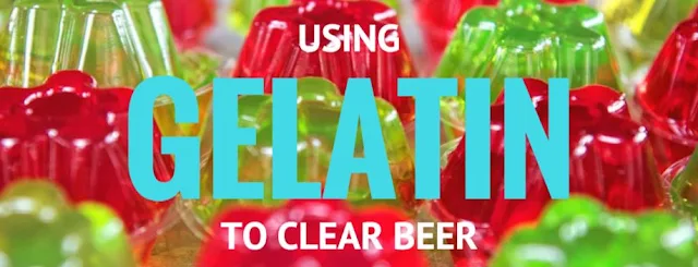 clearing beer with gelatin