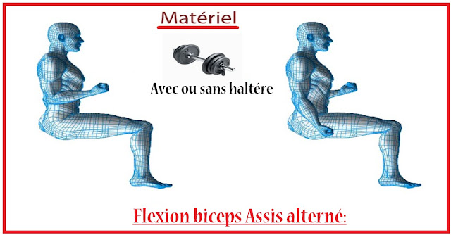 Flexion-biceps-assis-alternée Flexion-biceps-assis-alternée