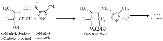 lactone of pilocarpic acid, an acid with a glyoxaline nucleus