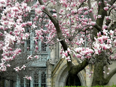 Spring Grace Church New York City