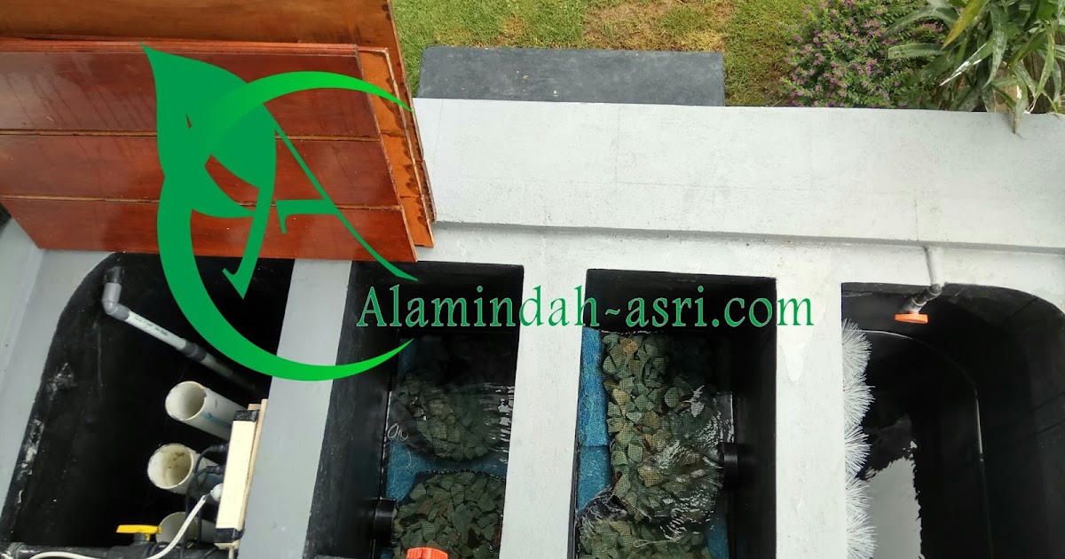 Struktur Kolam Ikan Koi / Cara Membuat Kolam Koi Lengkap Dengan