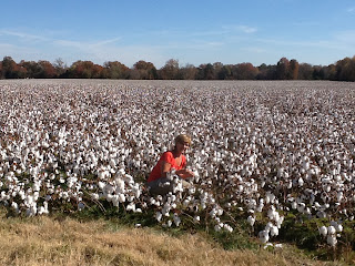 Covington, Tennessee.