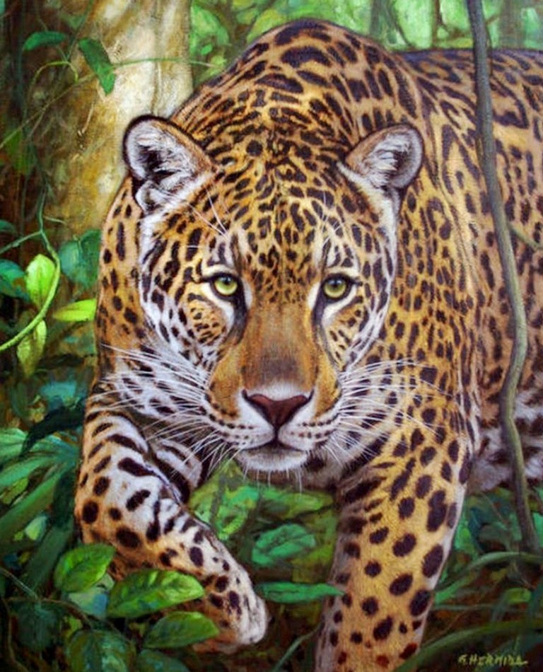 paisajes-de-la-selva-con-tigres-pintados-en-realismo