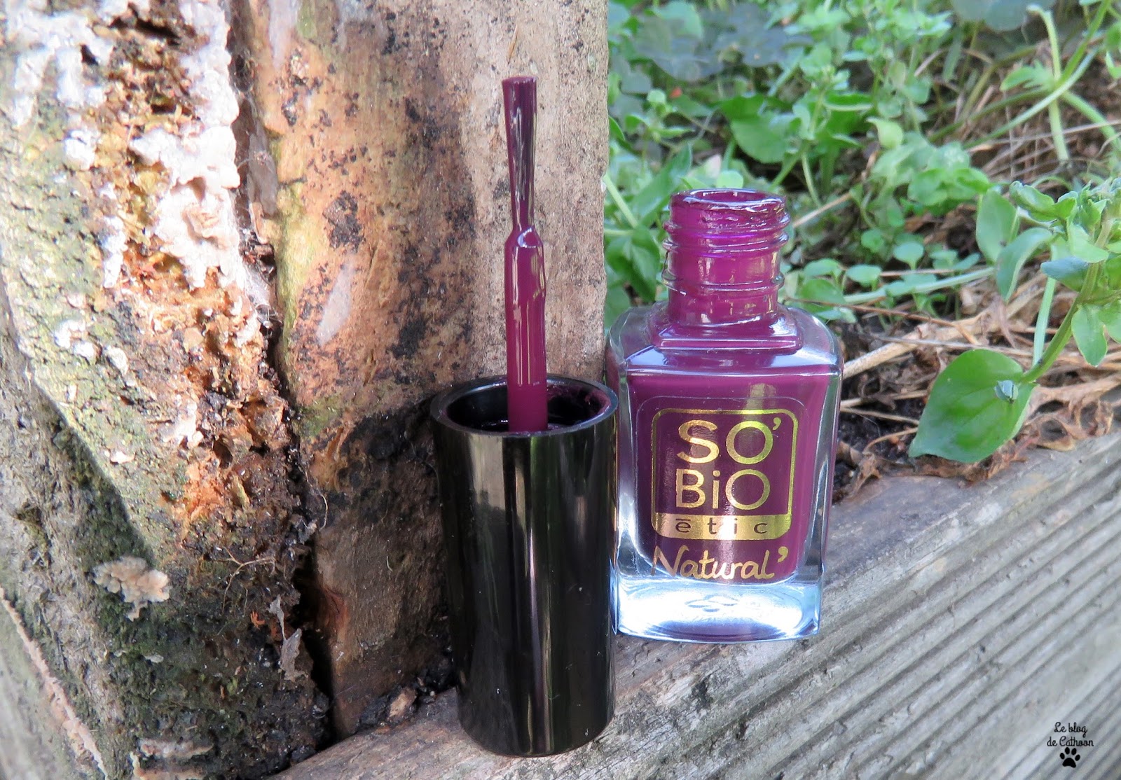 10 Prune Noire - Vernis à Ongles - So'Bio étic Natural'