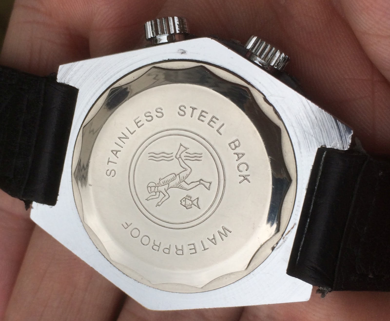 mortima divers watch