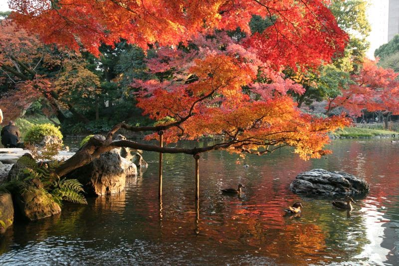 Travel: Nishinomaru Garden