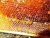 10 πράγματα που ΔΕΝ μπορείς να πληρώσεις όταν αγοράζεις μέλι .