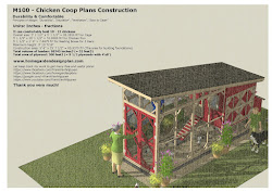 m100 coop chicken plans build