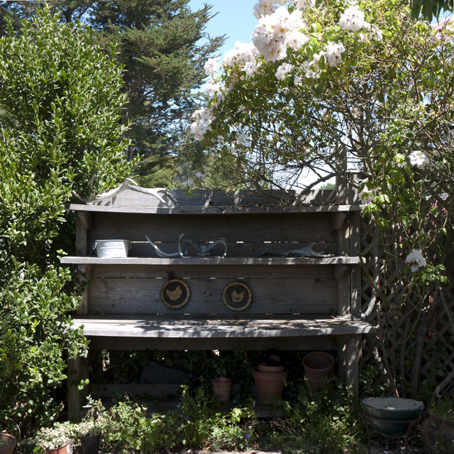Cottage Farm point reyes station