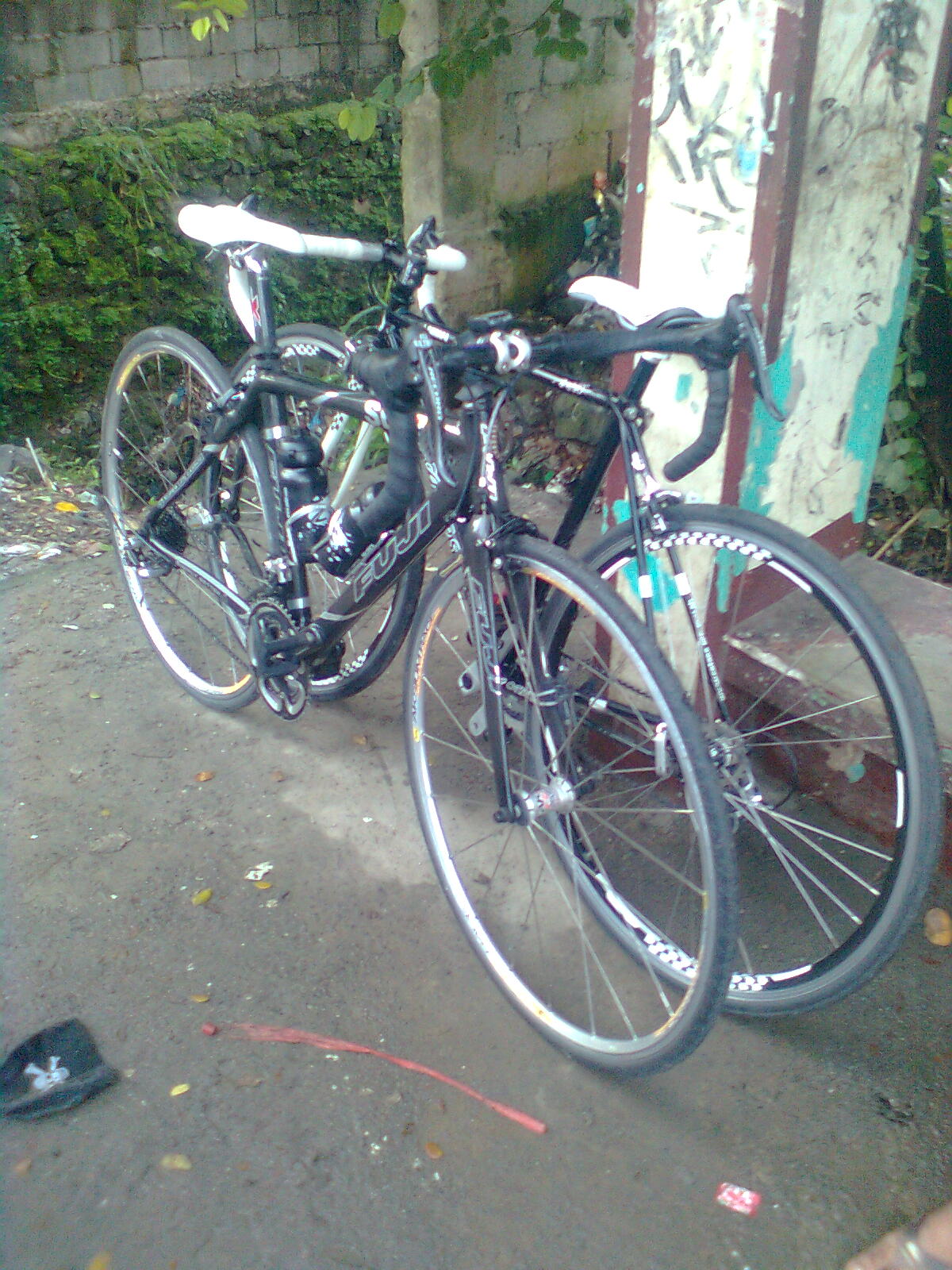 bogo bikes