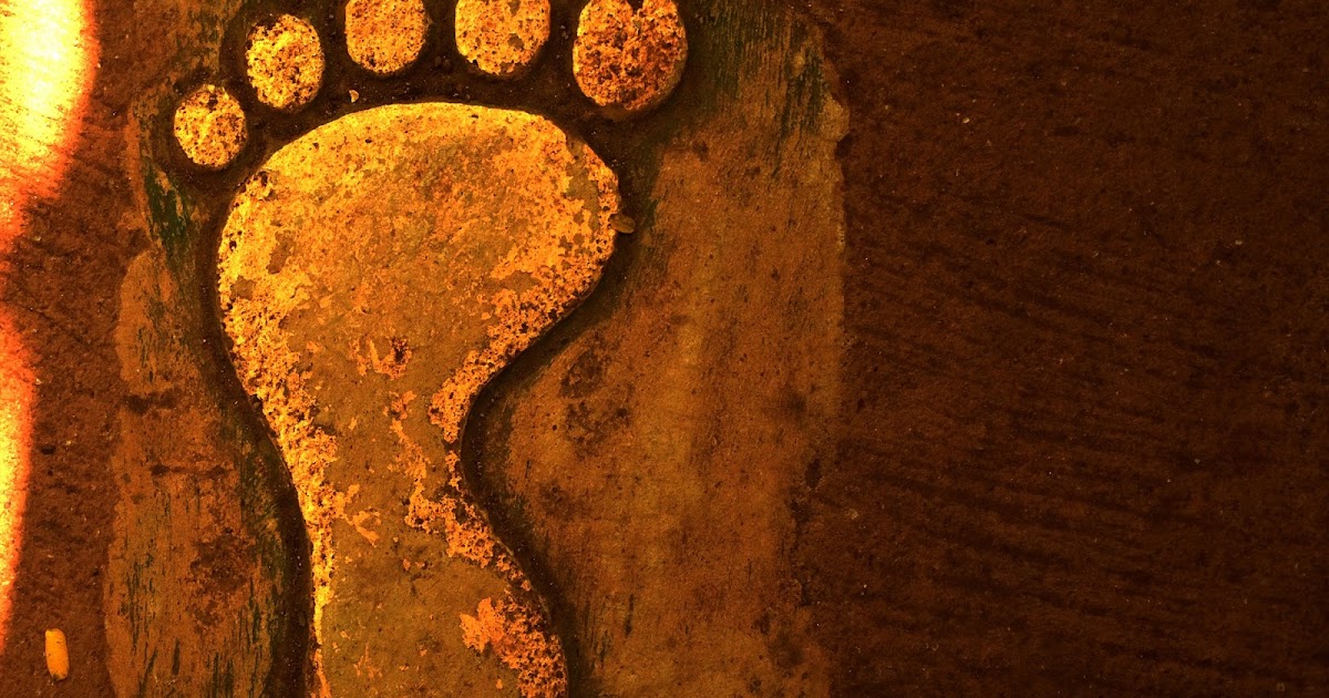 Origen de Pie Grande y avistamientos