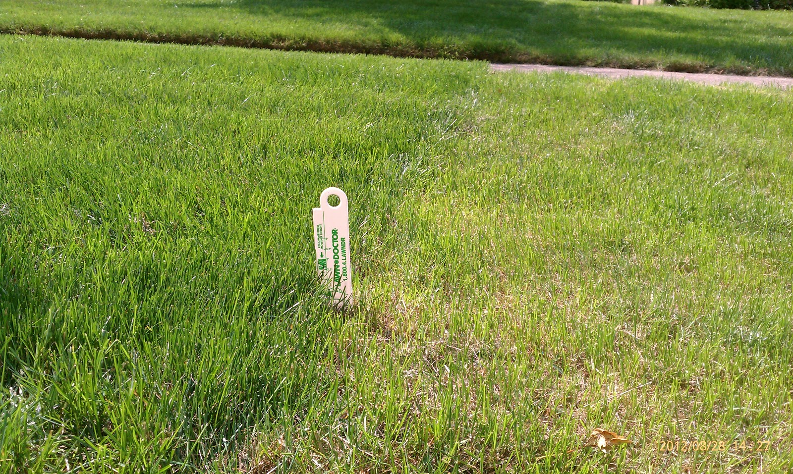 Lawn*Doctor Lawn Care Insights The benefits of proper mowing height