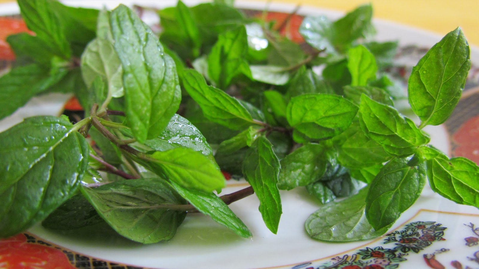 With Love from Mom's Kitchen Green Coriander and Mint Chutney