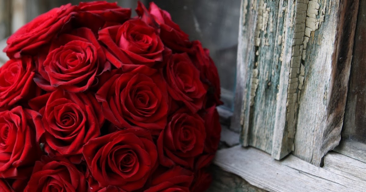 صور خلفيات ورد جوري احمر 2019 وابيض طبيعي Beautiful Red Rose Flowers