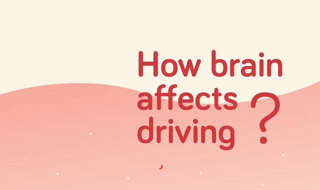 Image: How Brain Affects Driving? #infographic