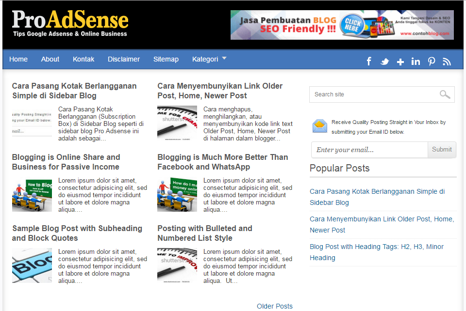 Template pro adsense