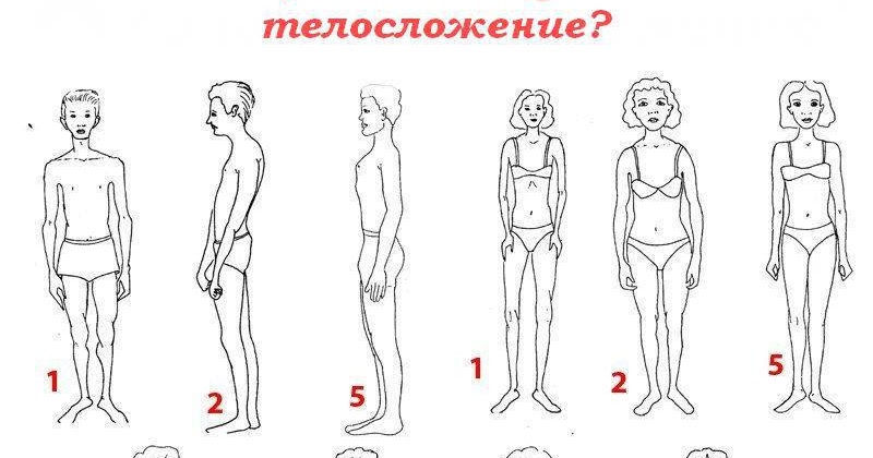 Черноруцкому. Оценка телосложения пациента. Антропометрия астеника. Нормостеническое телосложение при осмотре. Астеническое телосложение.